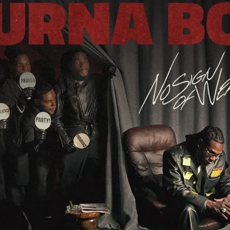 No Sign of Weakness by Burna Boy