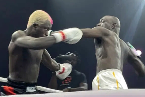 Olodo Uprising: How Cringe is the New Currency of Nigerian Media
